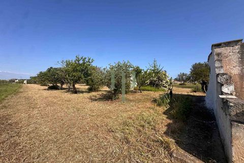 Ruin i Brindisi, Brindisi, Brindisi - € 34 000 | Ref: Lamia Melograno - foto 23